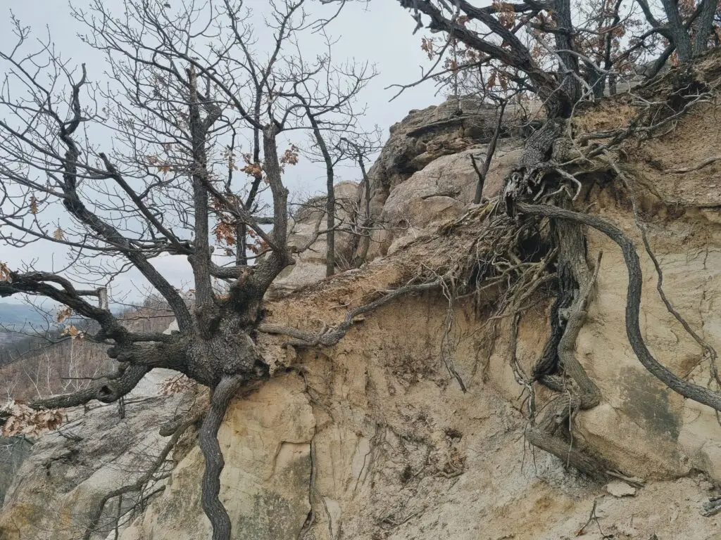 About 20230321 140443