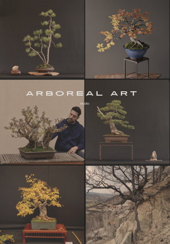 arboreal art studio